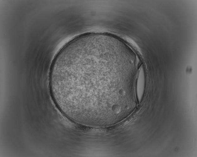 X0000090431183200708031122