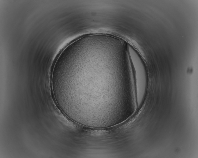 X0000090431184200708031122