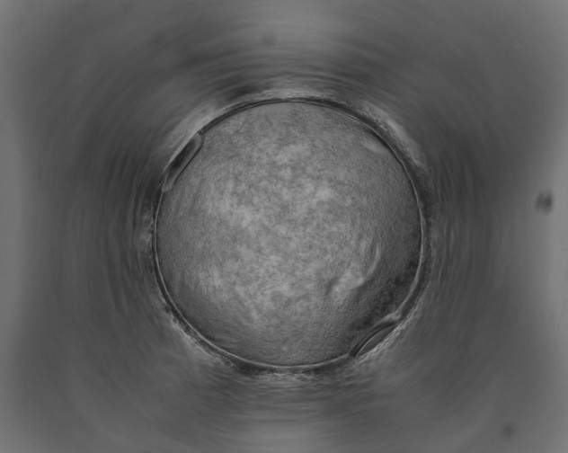 X0000090431185200708031122