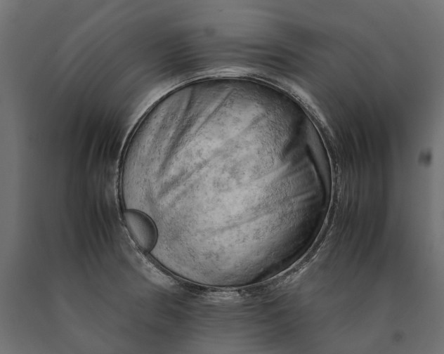 X0000090431186200708031122