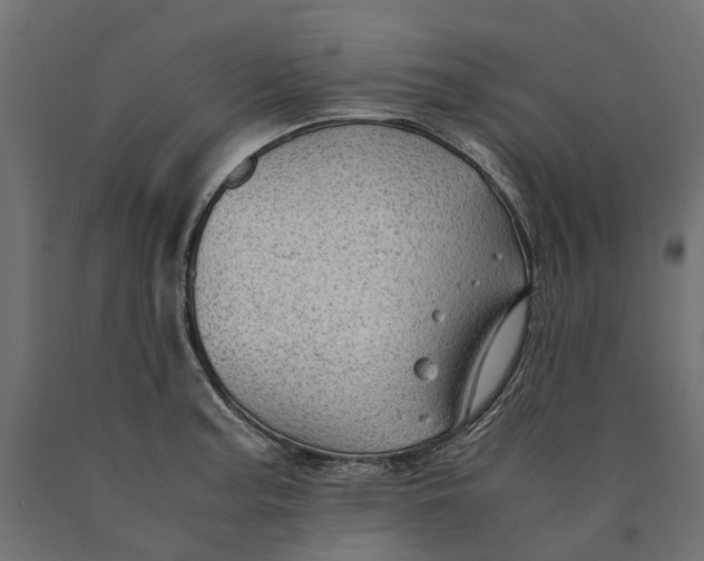 X0000090431187200708031122