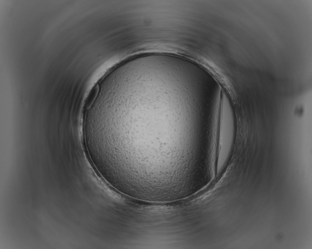 X0000090431188200708031122