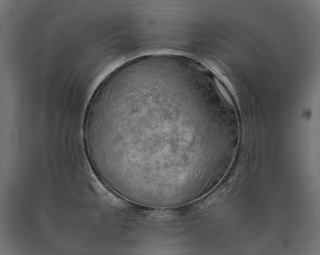 X0000090431189200708031122