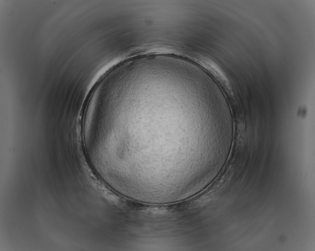 X0000090431190200708031122