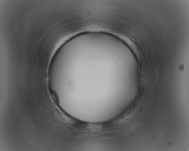 X0000090431191200708031122