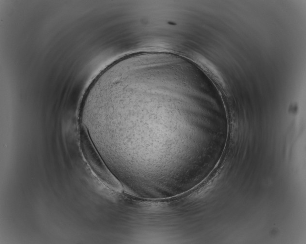 X0000090431192200708031122