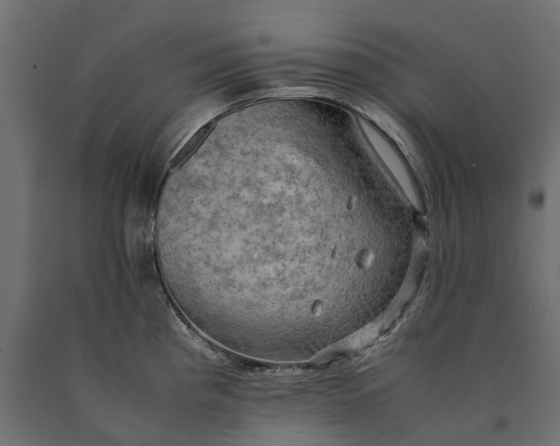 X0000090431193200708031122