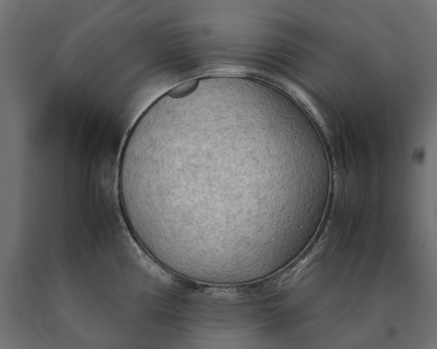 X0000090431194200708031122