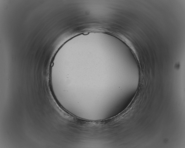 X0000090431195200708031122