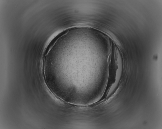 X0000090431196200708031122