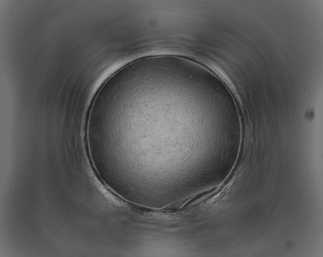 X0000090431197200708031122