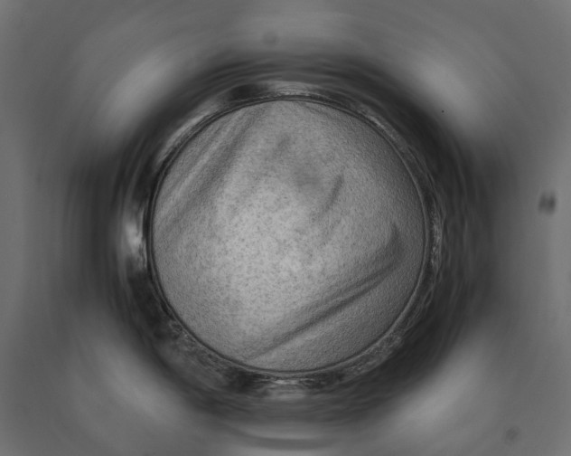 X0000090431198200708031122