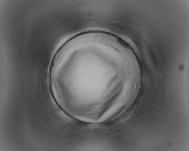 X0000090431199200708031122