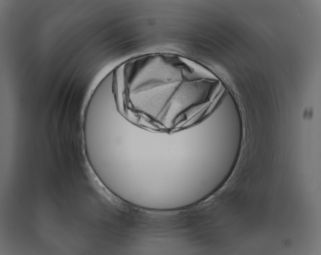 X0000090431200200708031122