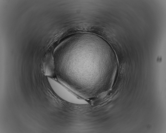 X0000090431202200708031121