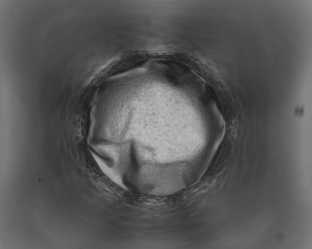 X0000090431205200708031121