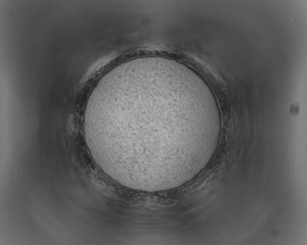 X0000090431207200708031121