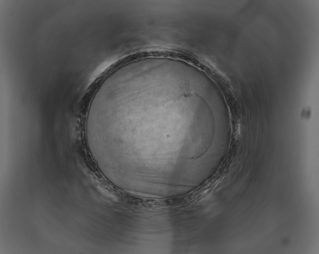 X0000090431208200708031121