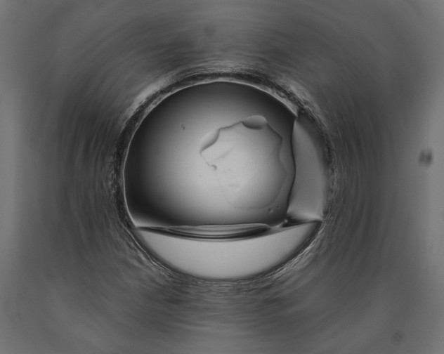 X0000090431210200708031121