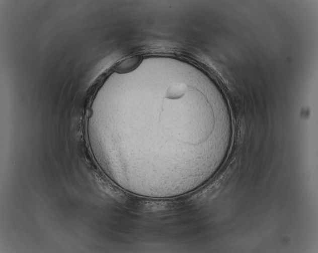 X0000090431211200708031121