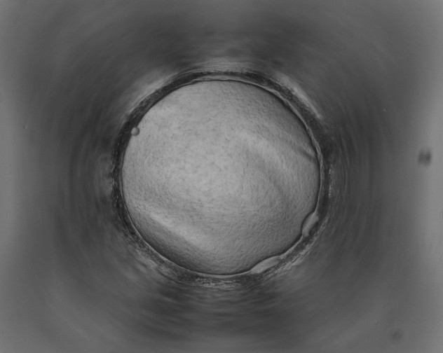 X0000090431213200708031121