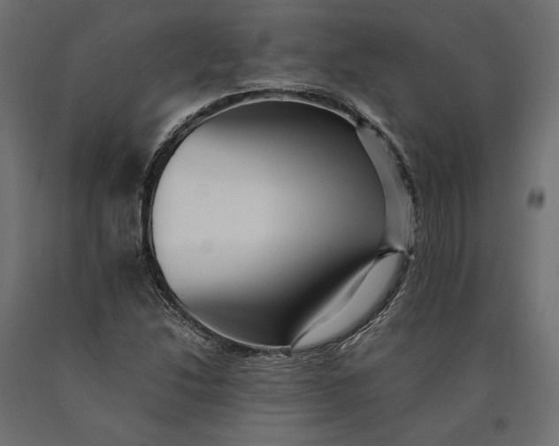 X0000090431214200708031121