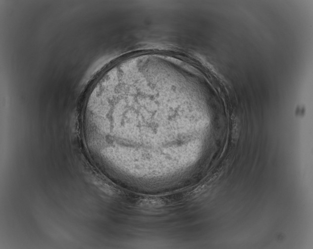 X0000090431215200708031121