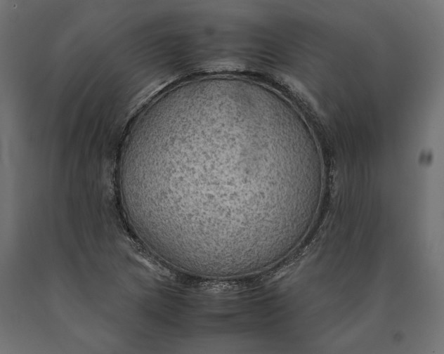 X0000090431217200708031121