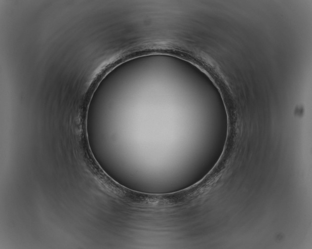 X0000090431218200708031121