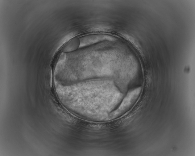 X0000090431219200708031121