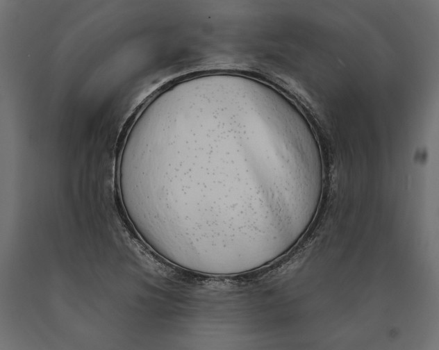 X0000090431220200708031121