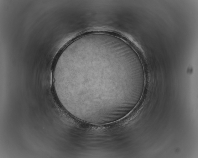 X0000090431221200708031121