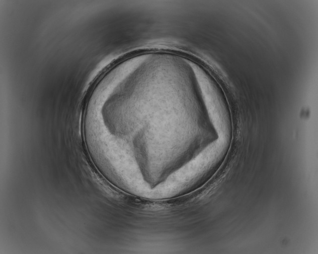 X0000090431224200708031121