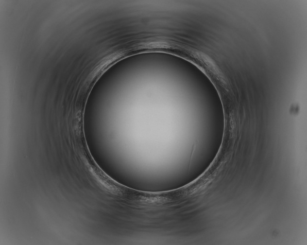 X0000090431225200708031121