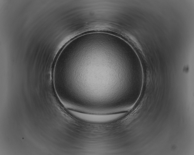 X0000090431226200708031121