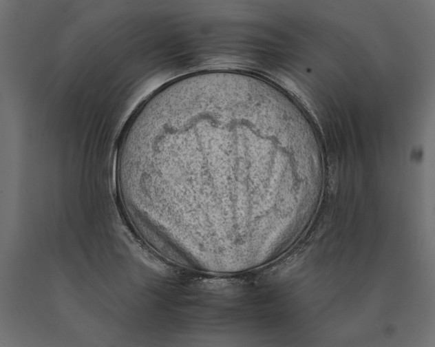 X0000090431227200708031121