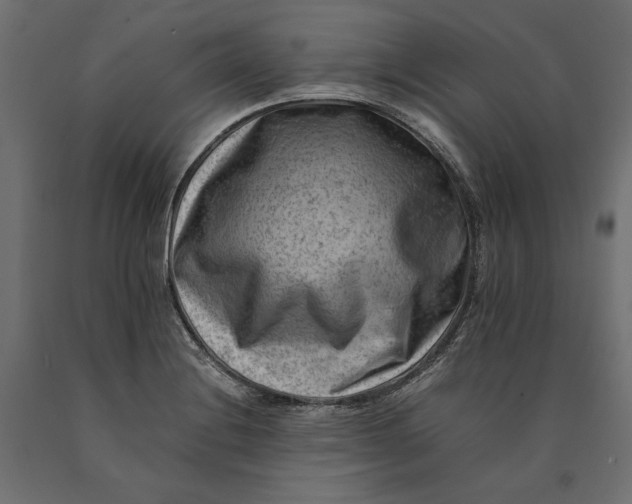 X0000090431228200708031121