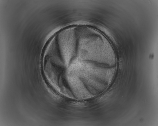 X0000090431229200708031121