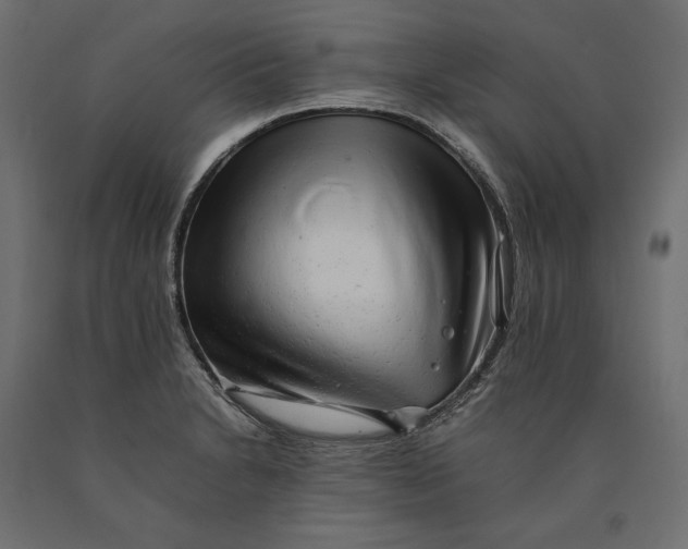 X0000090431230200708031121