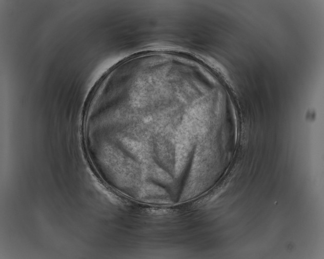 X0000090431231200708031121