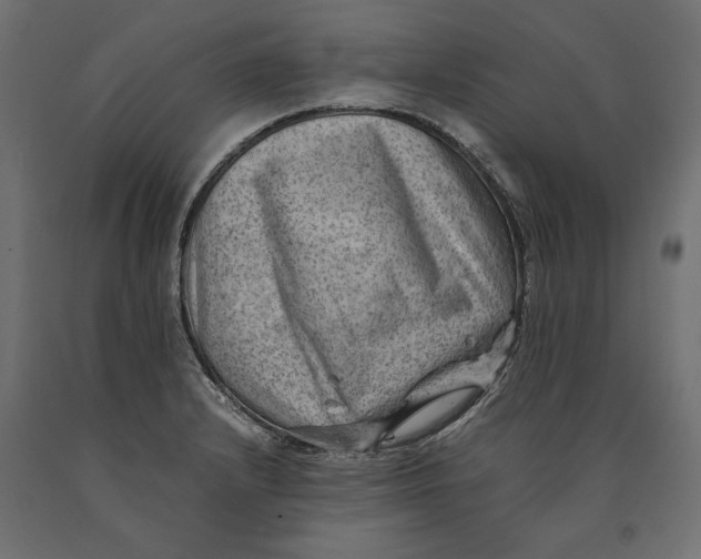 X0000090431232200708031121