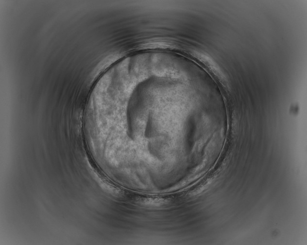 X0000090431233200708031121