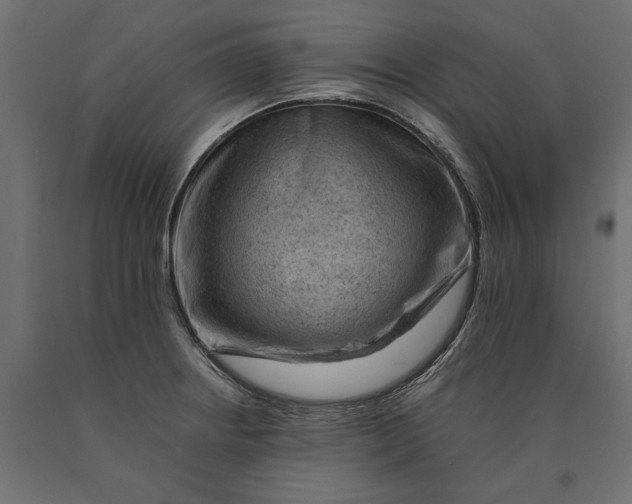 X0000090431234200708031121