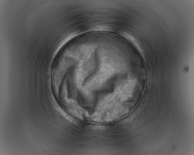 X0000090431235200708031121