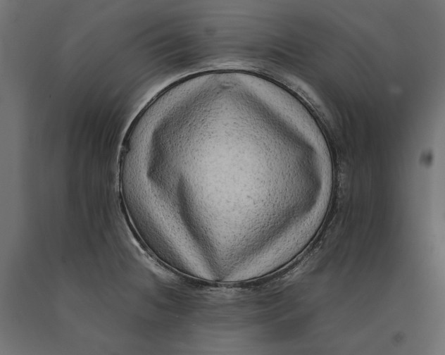 X0000090431236200708031121