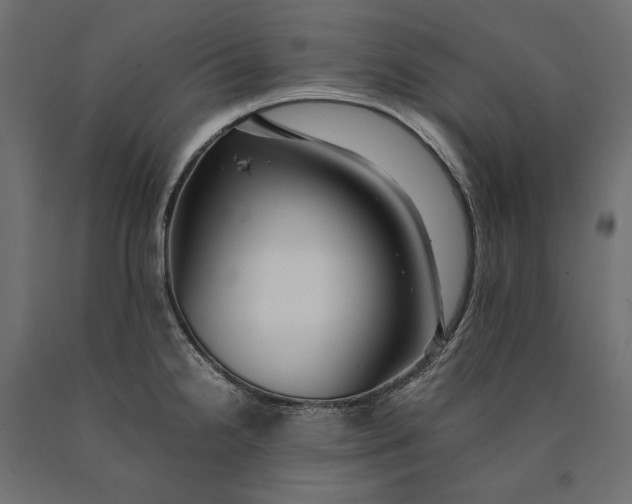 X0000090431238200708031121