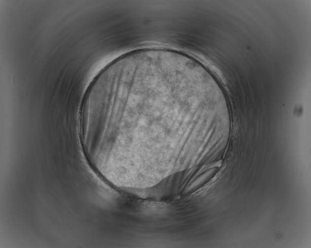 X0000090431239200708031121