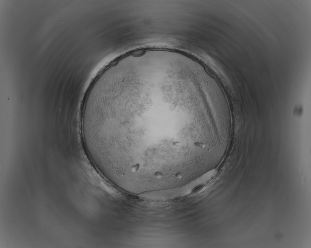 X0000090431240200708031122