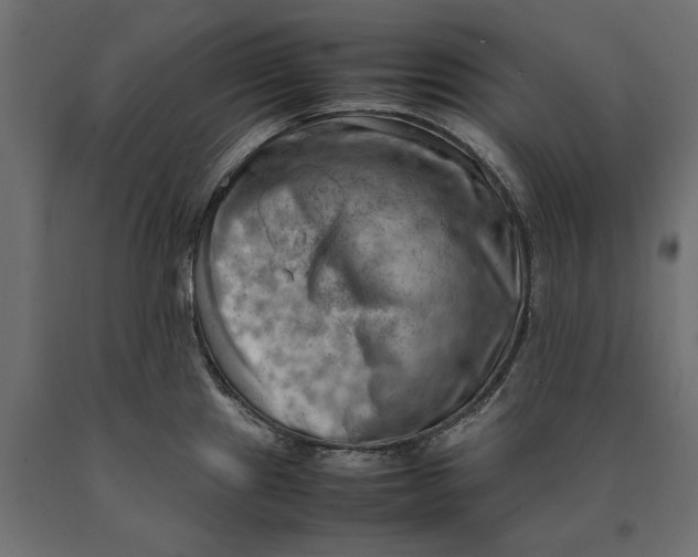 X0000090431241200708031122