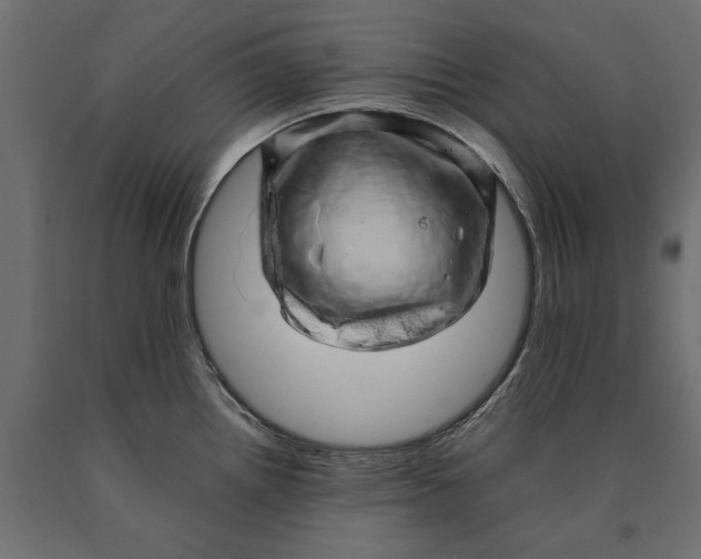 X0000090431242200708031122